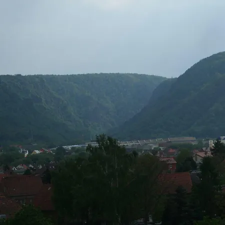 Holiday Weinberg U